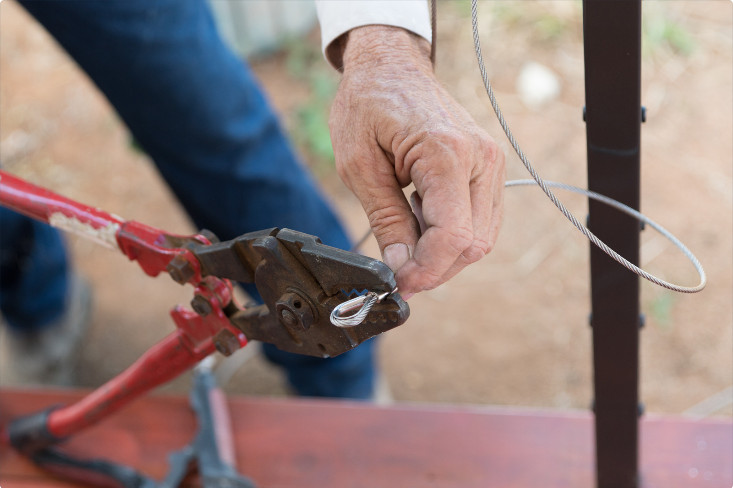 screenshot_2021-06-08_at_15-57-18_likes_-_canva