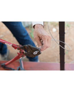 screenshot_2021-06-08_at_15-57-18_likes_-_canva